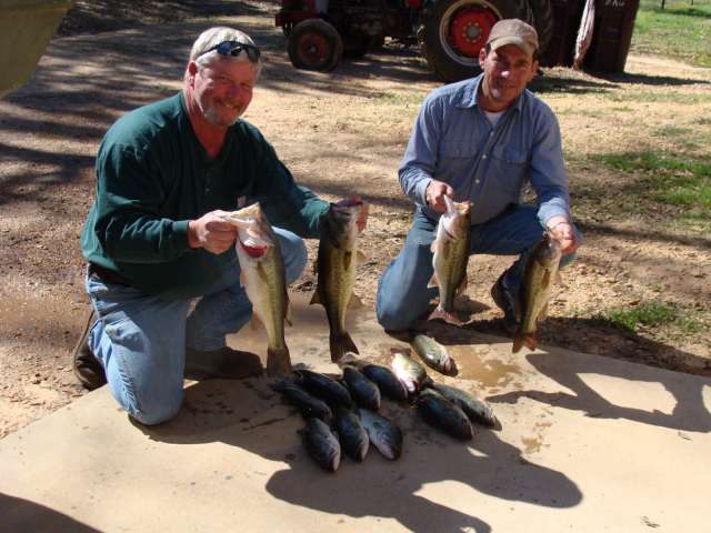 Two men crouching on the ground with two large bass.