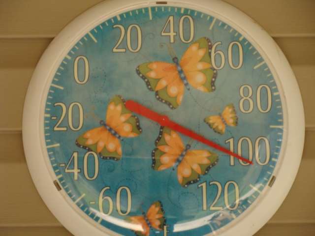 A thermometer with butterflies painted on it.