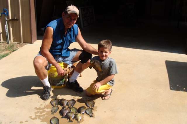 A man and a boy posing with a bucket of fish.