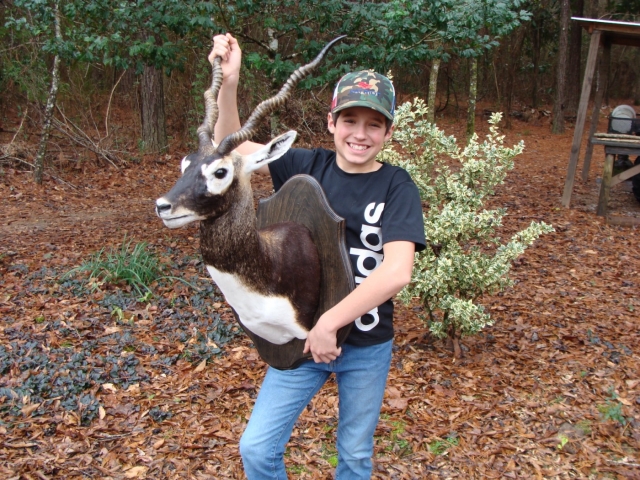 A young boy holding a deer head in the woods.