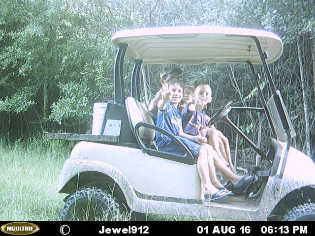 Two children sitting in a golf cart in the woods.