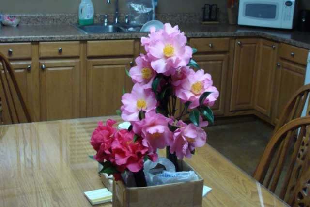 Flowers in a box on a kitchen table.