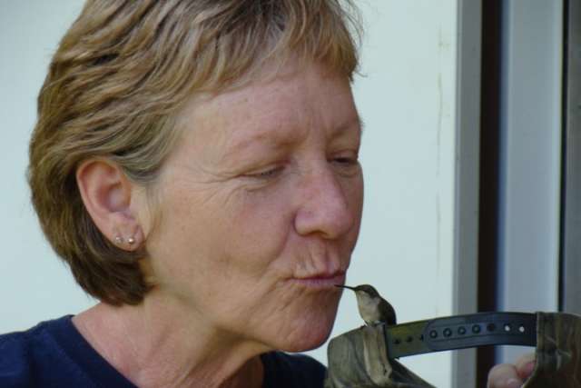 A woman in a blue shirt is kissing a bird.