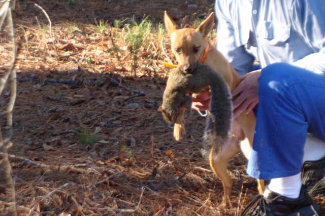 A man holding a dog with a squirrel in its mouth.
