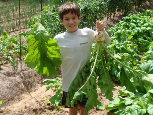 A boy holding up a bunch of greens in a garden.