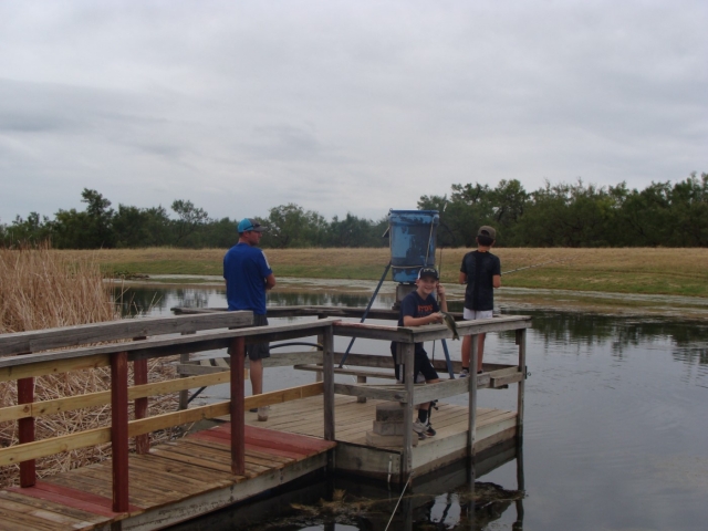 A group of people standing on a dock near a pond.