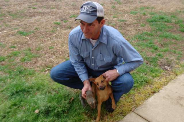 A man kneeling down next to a small brown dog.