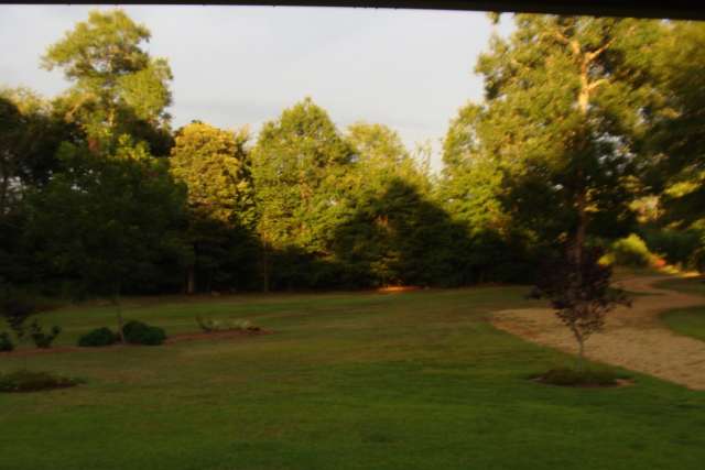 A view of a grassy area with trees in the background.