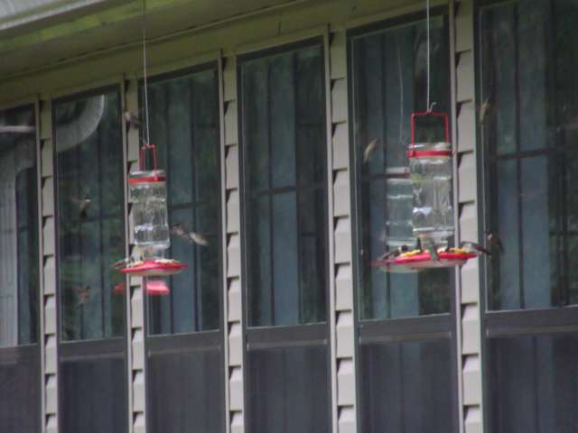 Hummingbird feeders in front of a house.
