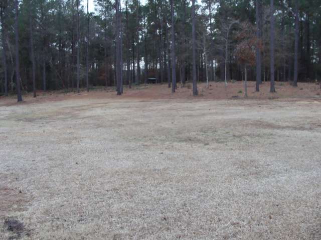 An empty field in the middle of a wooded area.